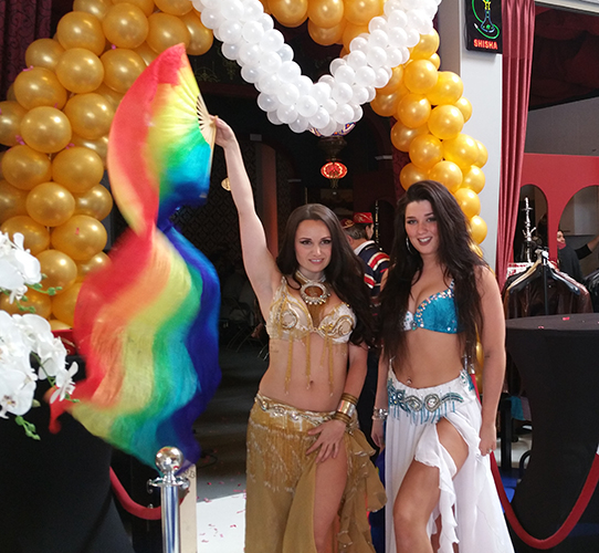 Alladin thema feest kameel in te huren